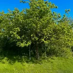 Modern In Peaceful Surroundings