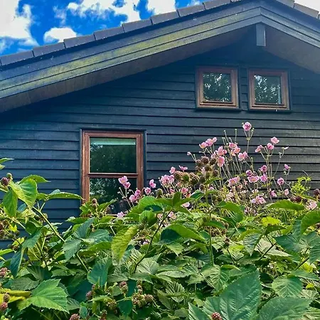 Semesterbostad Modern In Peaceful Surroundings *