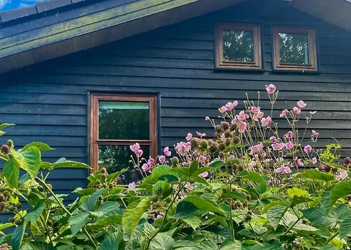 Semesterbostad Modern In Peaceful Surroundings *