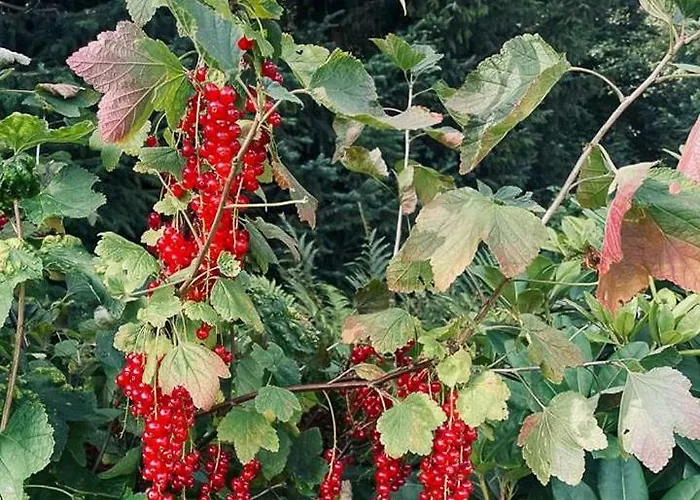 Semesterbostad Modern In Peaceful Surroundings