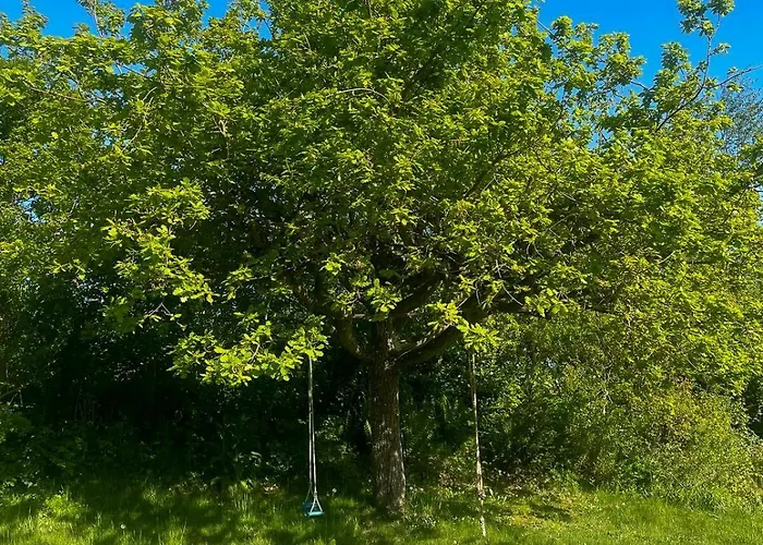 Modern In Peaceful Surroundings